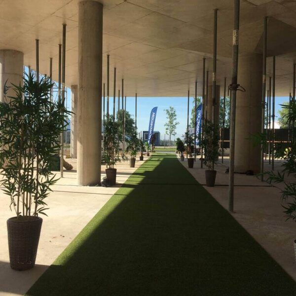 196203381 936985370430004 7721284221419426204 n