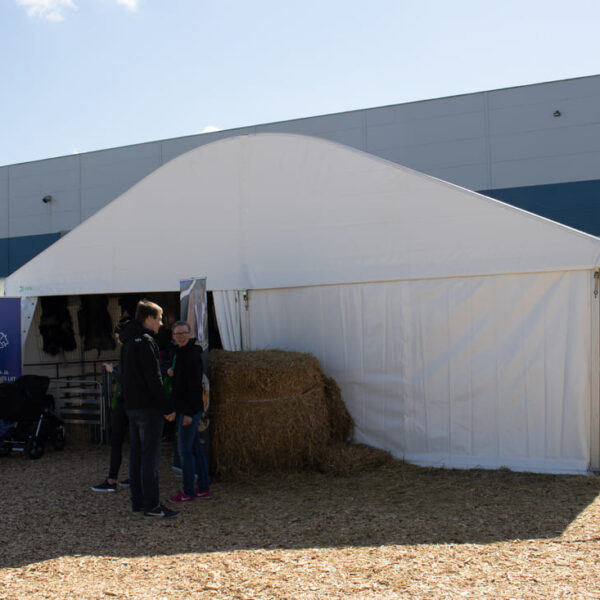 kaartelk 8x15 valge, telgi rent, telkide rent, funrent telgid