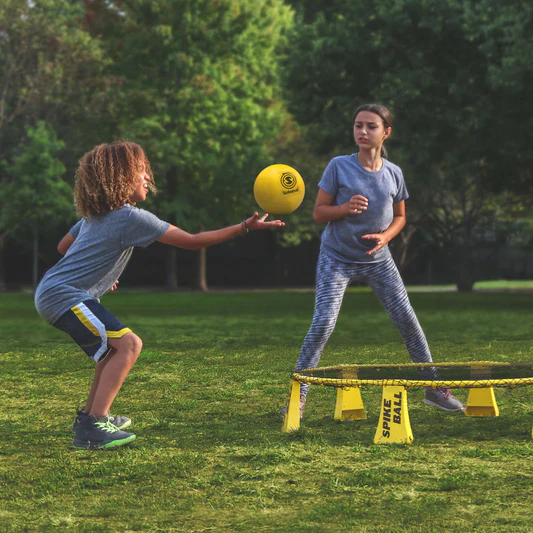 spikeball pro spikeball pro
