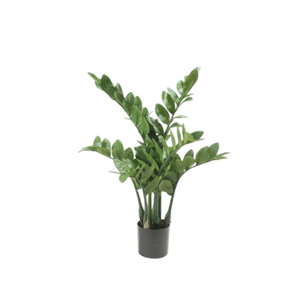 kunstpuu zamioculcas 70cm