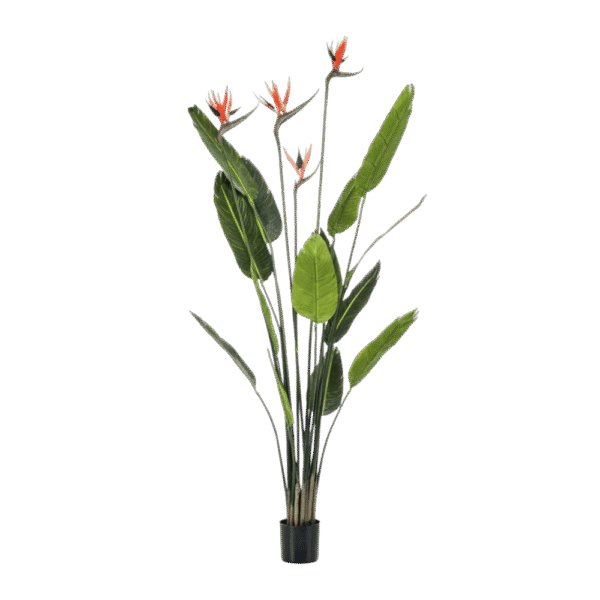 roosa orhidee potis 43cm (kopeeri)