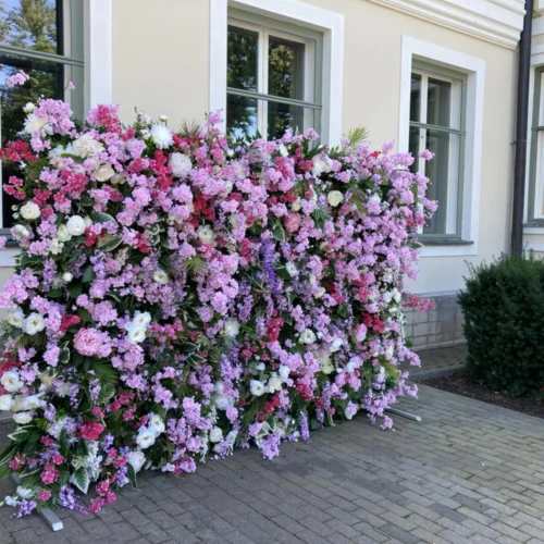 fotoseinad38