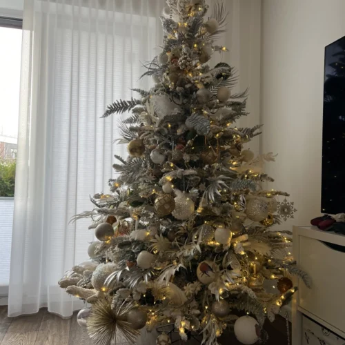 püsideko23