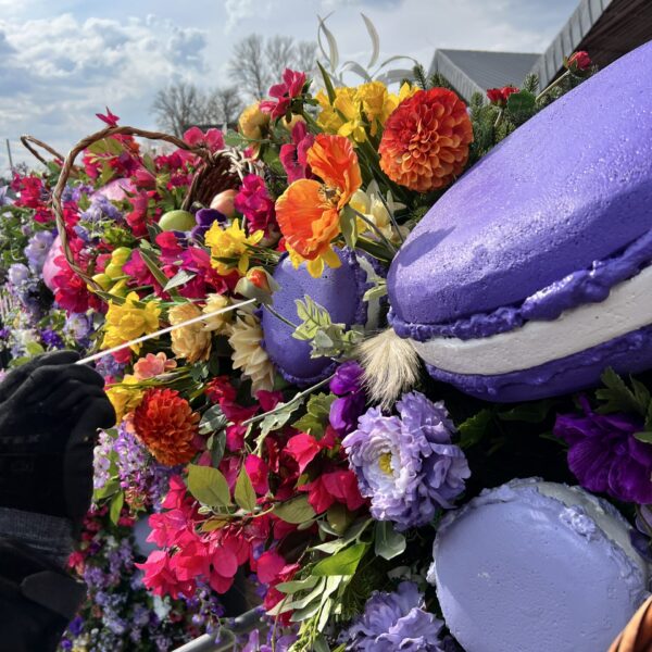 makroonid-ja-jaatised.