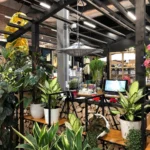 infrapuna soojuskiirgur 2,5kw ufo