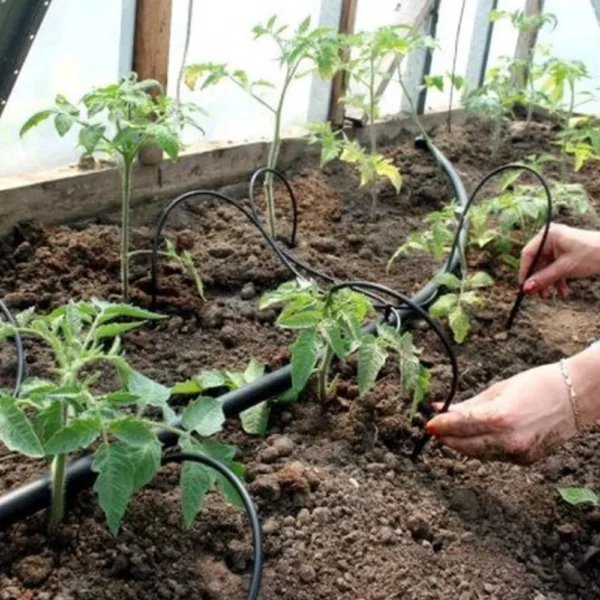 nordify kasvuhoone kastmissüsteem spider