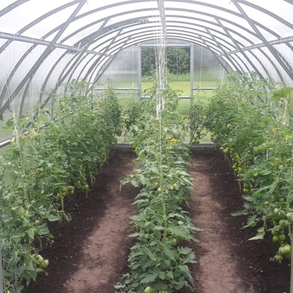 nordify kasvuhoone baltic lt