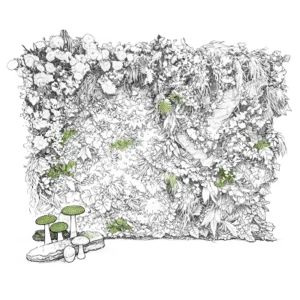 FOTO- JA TAUSTSEINAD